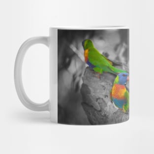 Rainbow Lorikeet_6324A Mug